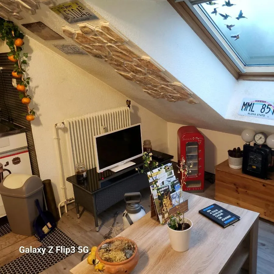 Apartment Gites Basques Laguiole France